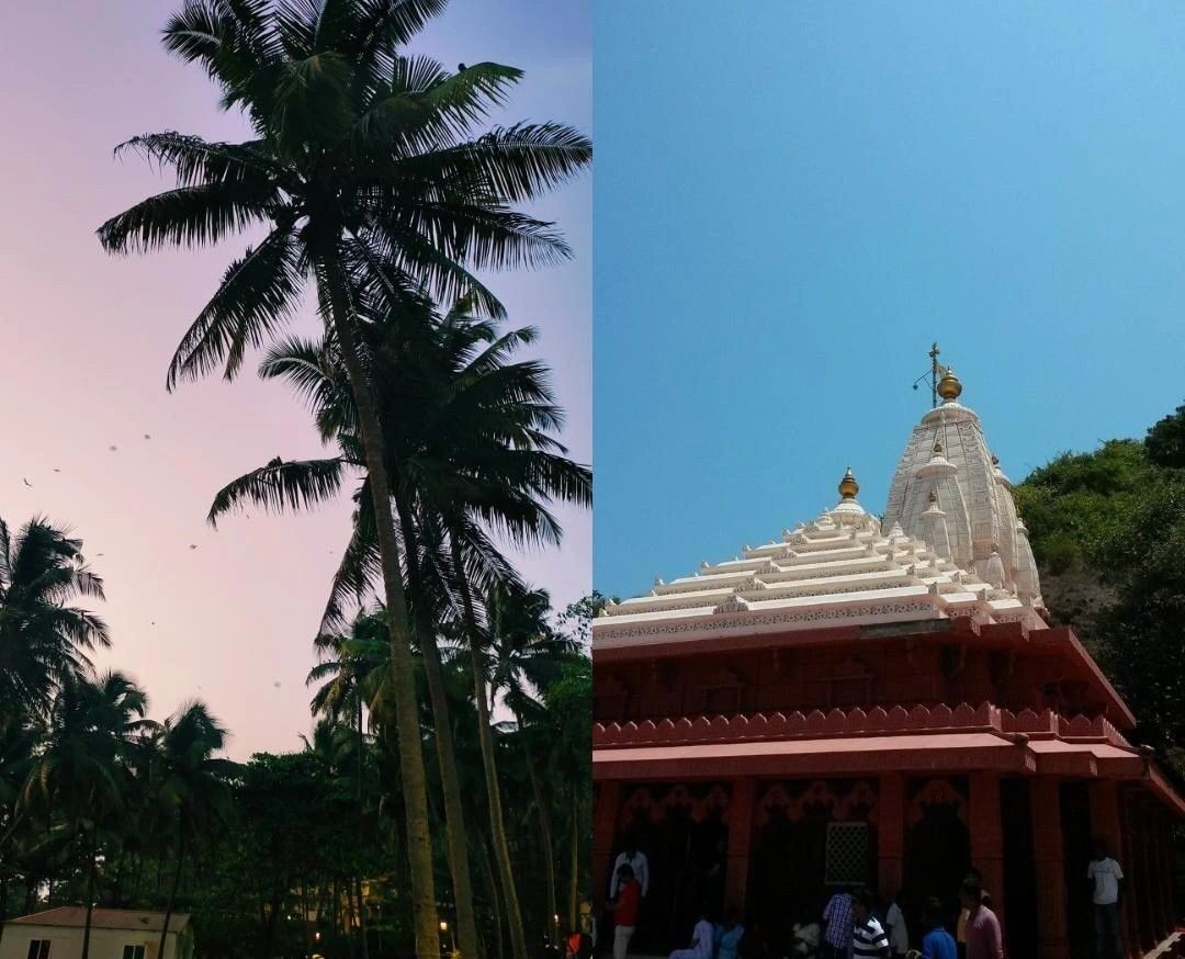 6a4b2a15750a4b05f98f46a3e98f79a7