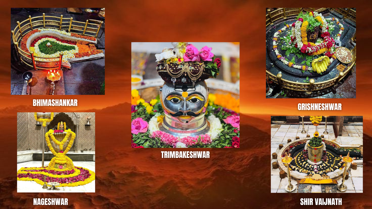 green and white photo collage kerala india travel youtube thumbnail (1)